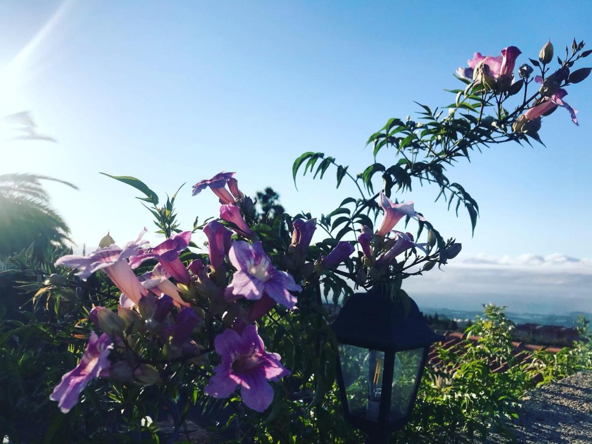 Apartmán Casaenos Granadilla De Abona Exteriér fotografie
